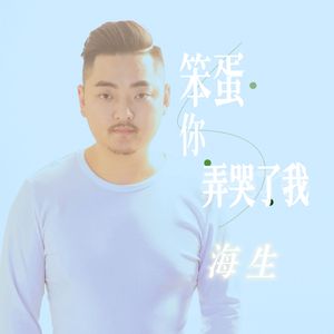 笨蛋你弄哭了我