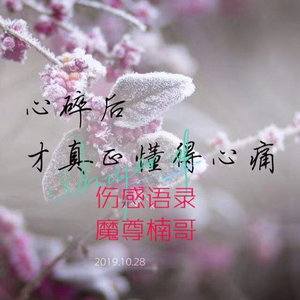 伤感独白哭腔-伤心的女人（十三部）