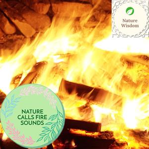 College and Steady Campfire