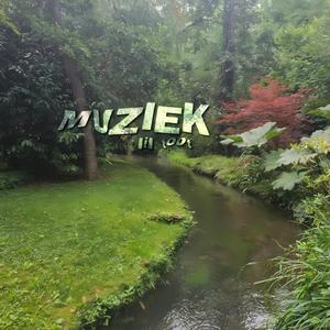 MUZIEK
