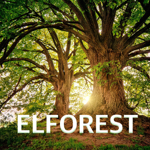 중요한 것은 우리가 성장하고 있다는 것