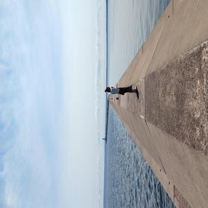 The Risk of Wild Things