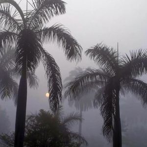 【Free】”Color“ Ambient Type Beat