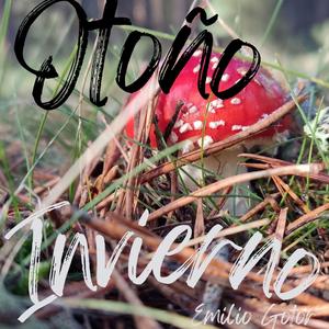 Otoño Invierno