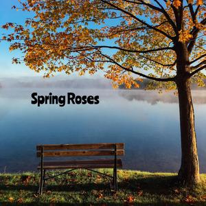 Spring Roses