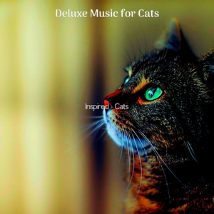Delightful (Music)