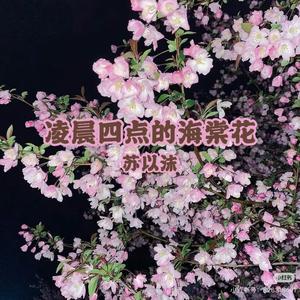 凌晨四点的海棠花