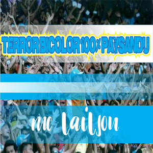 Terror Bicolor 100% Paysandu