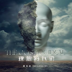 理想的代价