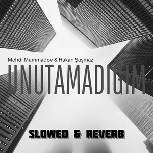 Unutamadığım (Slowed + Reverb)