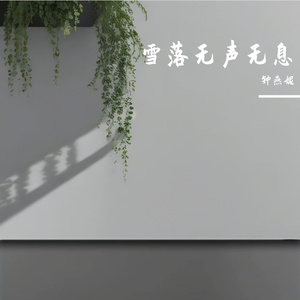 雪落无声无息