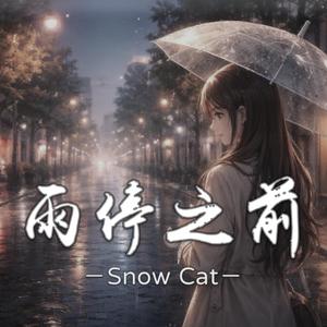 雨停之前