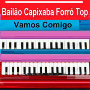 SANFONINHA