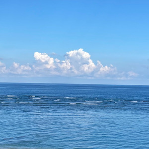 君の唄 (feat. 初音ミク)