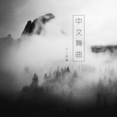 哥是个农民工 (DJ版)
