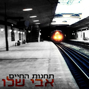 טלי
