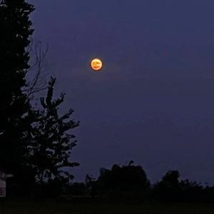 月亮翻过小山坡（温柔男声版）