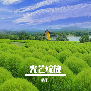 青春飞扬