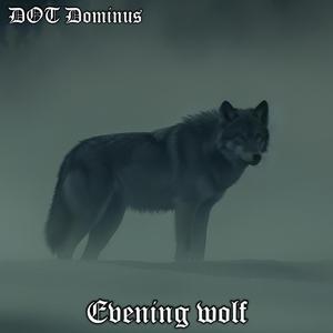Evening wolf