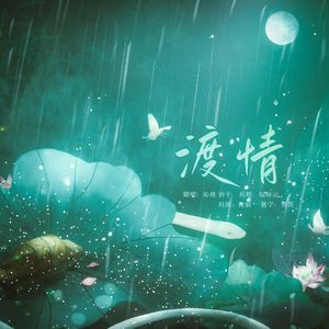 渡情（沈江版）