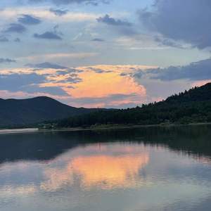 虎口脱险 （cover 张磊）