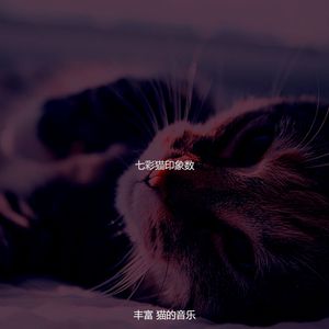 精彩压力大的猫环境