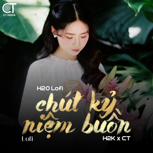 Chút Kỷ Niệm Buồn (Lofi)