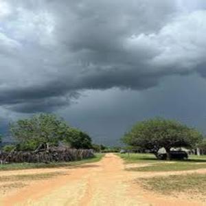 Forró - Chuva a Alegria do Sertanejo