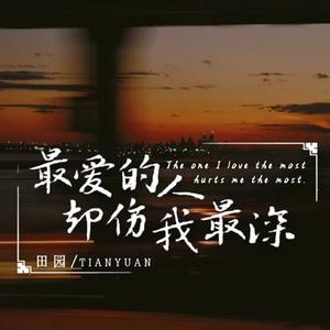 最爱的人却伤我最深