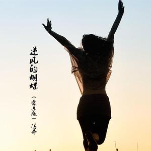 逆风的蝴蝶（爱乐版）