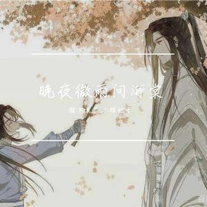 晚夜微雨问海棠