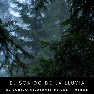 Truenos Del Descanso