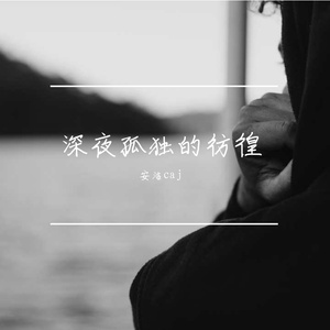 深夜孤独的彷徨