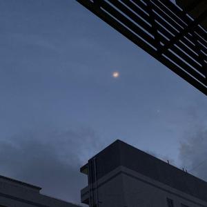 The ******** Dolls-︳﹏﹋﹌﹋﹌﹏﹋﹌﹌﹏﹋﹌﹏﹋﹌﹋﹌︳﹏﹋﹌﹋﹌﹏﹋﹌﹌﹏﹋﹌﹏﹋﹌﹋﹌（ʜ ʜ remix）