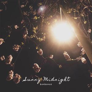 Sunny Midnight