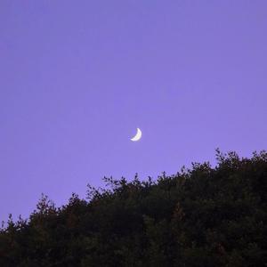 骑士的梦（钢琴曲）