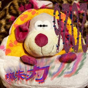 AJ11 乔丹在我脚