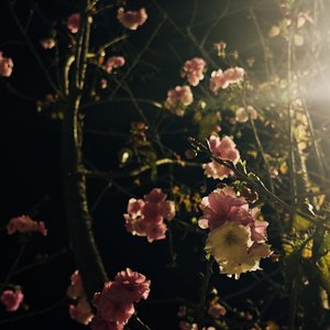 等明天