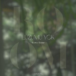 Lüzumu Yok