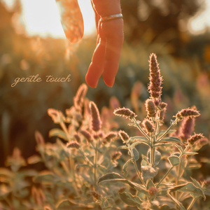 gentle touch