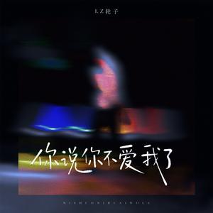 你说你不爱我了