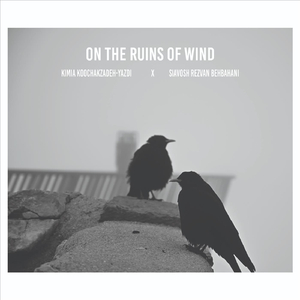 On the Ruins of Wind