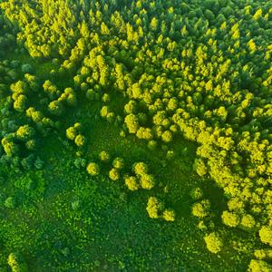 Happy Birthday lil bro