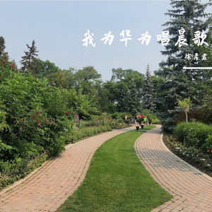 为为华为唱晨歌