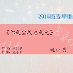 你是尘埃也是光