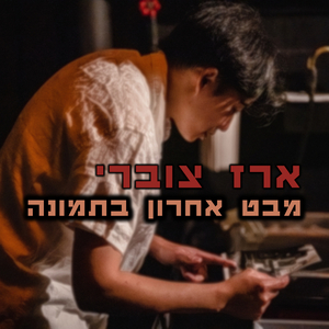 מבט אחרון בתמונה