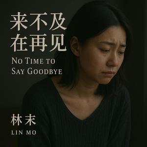 来不及的再见