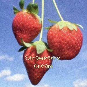 Strawberry Cream（萝莉硬曲sweets parade）