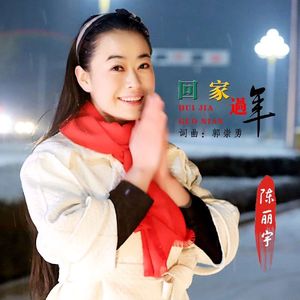 回家过年 伴奏