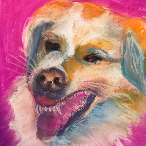 Greyhound 3
